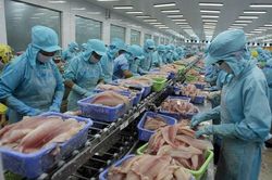Gỡ rào cản để tận dụng cơ hội từ EVFTA