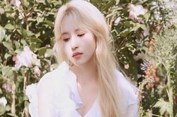 Fan phẫn nộ đòi 'công bằng' cho Jeongyeon Twice