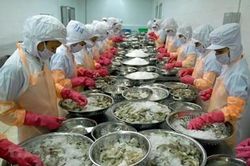 EVFTA đánh dấu một khởi đầu mới trong mối quan hệ giữa Việt Nam và EU