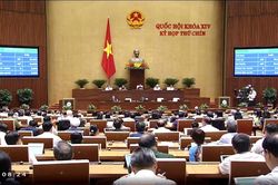 Quốc hội chính thức thông qua Hiệp định EVFTA và EVIPA với gần 95% ĐBQH tán thành