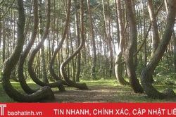 Ngắm nhìn 8 kỳ quan thiên nhiên mới thấy Trái đất độc đáo đến vậy