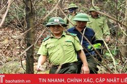 Người kiểm lâm 21 năm 'gác' rừng phòng hộ Nam Hà Tĩnh: Màu xanh của núi đã ăn vào máu thịt tôi!