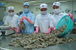 Thực thi EVFTA hiệu quả: Cần sự nỗ lực giữa các bên