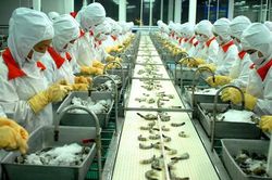 EVFTA: Cơ hội hiện thực hóa những kỳ vọng bứt phá của thời kỳ phục hồi kinh tế sau đại dịch