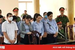 Dùng thủ đoạn gian dối lấy gần 29 tỷ đồng