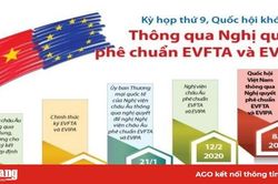 Quốc hội thông qua Nghị quyết phê chuẩn EVFTA và EVIPA
