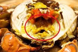 Ăn hải sản mấy chục năm ai nghĩ đơn giản PHẦN MÀU VÀNG trong con cua biển là GẠCH đều sai hết