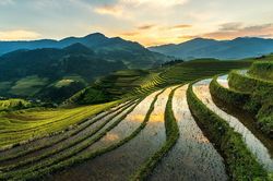 Mù Cang Chải mùa nước đổ đẹp tựa những tấm gương trời