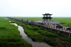 Cầu tre dài nhất thế giới