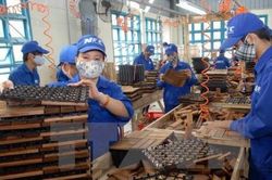 Hiệp định EVFTA tác động như nào tới các doanh nghiệp phân phối?