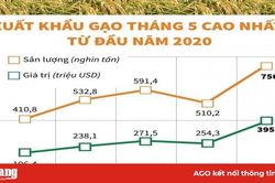 Xuất khẩu gạo tháng Năm cao nhất từ đầu năm 2020