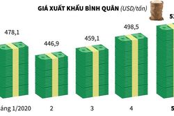 Xuất khẩu gạo tháng Năm cao nhất từ đầu năm 2020