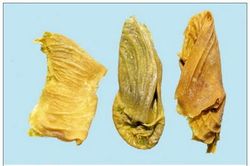 Những bài thuốc mang tên kê