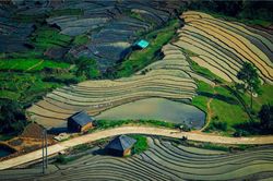 Những ô màu lấp lánh ẩn hiện ở Y Tý mùa nước đổ