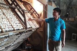 Người nông dân bắt gà 'đẻ' tiền tỷ