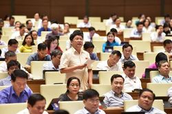 Đại biểu Quốc hội đề nghị phải giám sát, rõ trách nhiệm của Chính phủ trong việc tăng vốn điều lệ cho Agribank
