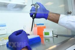 Nhiệt độ, độ ẩm, bề mặt tác động đến thời gian sống của SARS-CoV-2