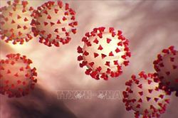 Nhiệt độ, độ ẩm và bề mặt tác động đến thời gian sống sót của virus SARS-CoV-2