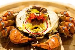 Sự thật về phần màu vàng trong cua biển, ai nghĩ là 'gạch' đều sai hết