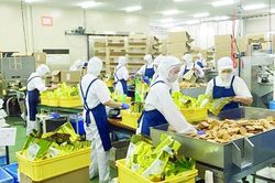 Hỗ trợ DNNVV trong lĩnh vực phân phối hóa giải thách thức từ EVFTA