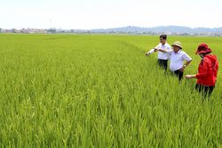 Xây dựng nông thôn mới ở Thanh Thủy: Chìa khóa mở thành công