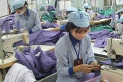 Doanh nghiệp Việt Nam cần làm gì để tận dụng ưu đãi từ EVFTA?