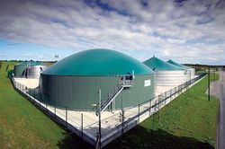 Khí sinh học tiềm năng lớn bị xem nhẹ