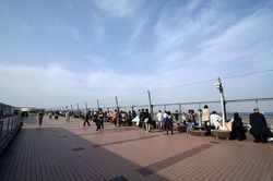 Nhật Bản chuẩn bị nới lỏng quy định nhập cảnh đối với người Việt Nam