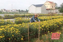 Chàng kỹ sư cầu đường với niềm đam mê nông nghiệp