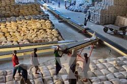Việt Nam trúng thầu xuất khẩu 60 nghìn tấn gạo sang Philippines
