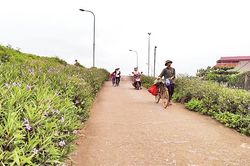 Bảo đảm an toàn đê điều trong mùa mưa lũ