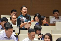 Đừng thiết kế dự án kiểu 'đồng phục'