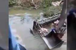 Xe lao xuống sông, lợn bì bòm, tài xế đau đầu