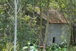 Bé 5 tuổi chết trong tư thế bị trói, miệng dán băng dính: Khởi tố vụ án Giết người