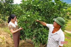 Cựu binh Hà Tĩnh bán tài sản, ngược ngàn chinh phục núi rừng Kỳ Sơn