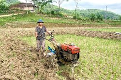 Nét mới trong sản xuất vụ mùa ở Na Hang