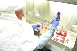 WHO kêu gọi thế giới chia sẻ vaccine phòng COVID-19