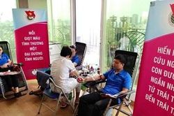 Đông đảo cán bộ, nhân viên Tập đoàn Bảo Việt tham gia hiến máu tình nguyện