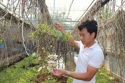 Khu vườn 10.000 giò lan rừng, gia tài bạc tỷ của thầy giáo trẻ