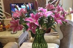 Thêm một viên thuốc nhỏ trong nước, thời gian hoa nở sẽ được nhân đôi