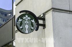 Starbucks có thể mất 3 tỷ USD doanh thu trong quý III tài khóa 2020