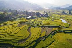 Ngắm ruộng bậc thang Hợp Thành mùa lúa chín