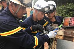 Buồn vui nghề cứu nạn, cứu hộ
