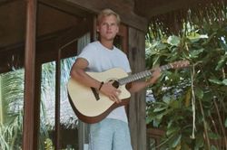 'Heaven' của Avicii: Cần có luật để giữ mạng sống của DJ
