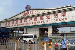 Bắc Kinh: 43 ca nhiễm nội địa, khởi phát từ chợ nông sản đầu mối