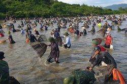 Người dân nô nức lao xuống nước đánh bắt cá trong lễ hội độc đáo có từ 300 năm