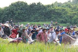 Sau tiếng hô lớn của chủ tịch xã, dân làng ào xuống đầm săn cá