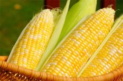Muốn cả đời không bị ung thư gõ cửa hãy ăn ngay món này vào buổi sáng