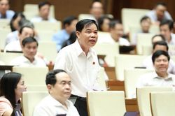 Bộ trưởng Bộ NN&PTNT: Thịt lợn thiếu, đến quý 4/2020 mới phục hồi đàn lợn đạt 31 triệu con như trước khi có dịch tả lợn châu Phi