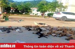 Đôi nam nữ trộm chó mèo bị người dân vây bắt